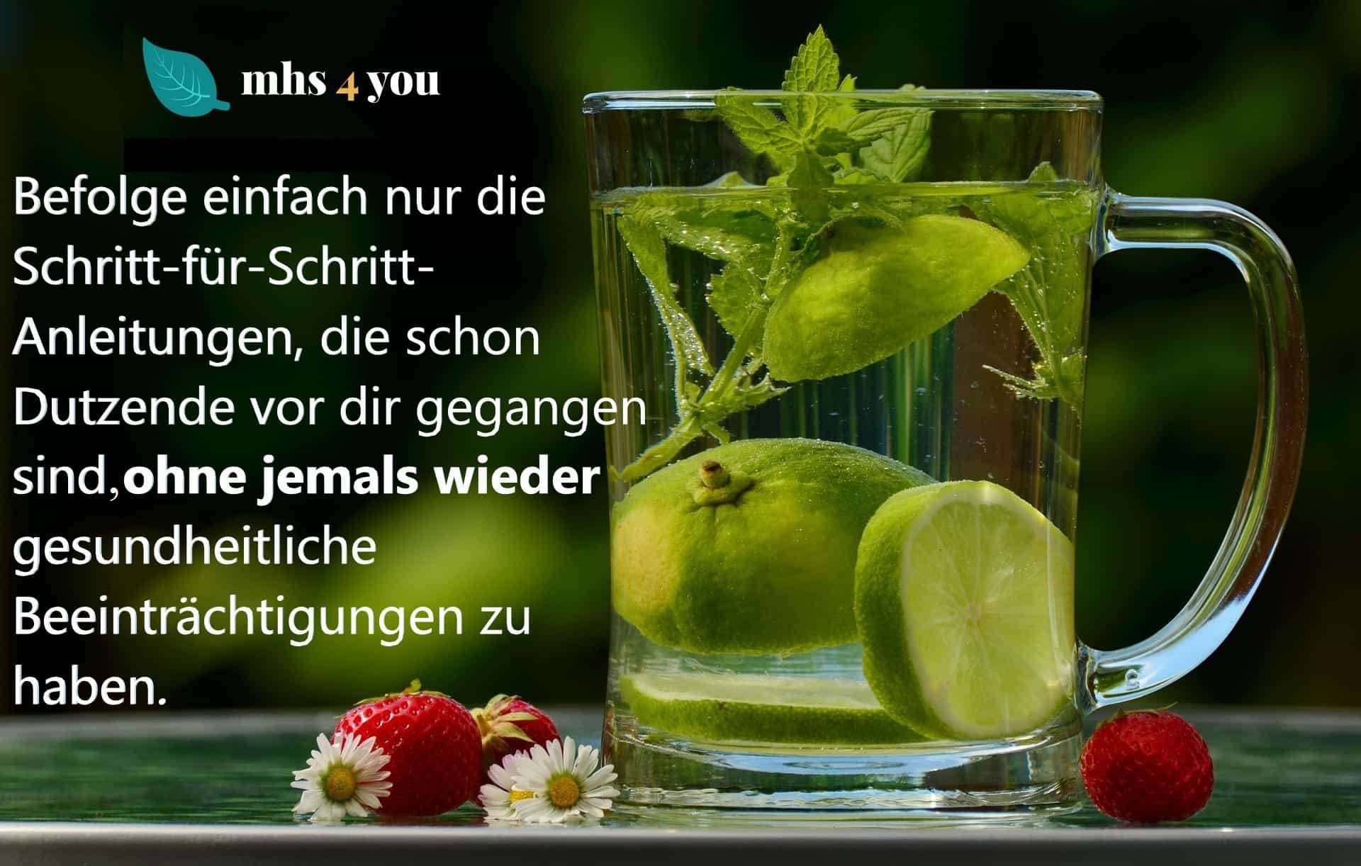 Entgiftungsplan